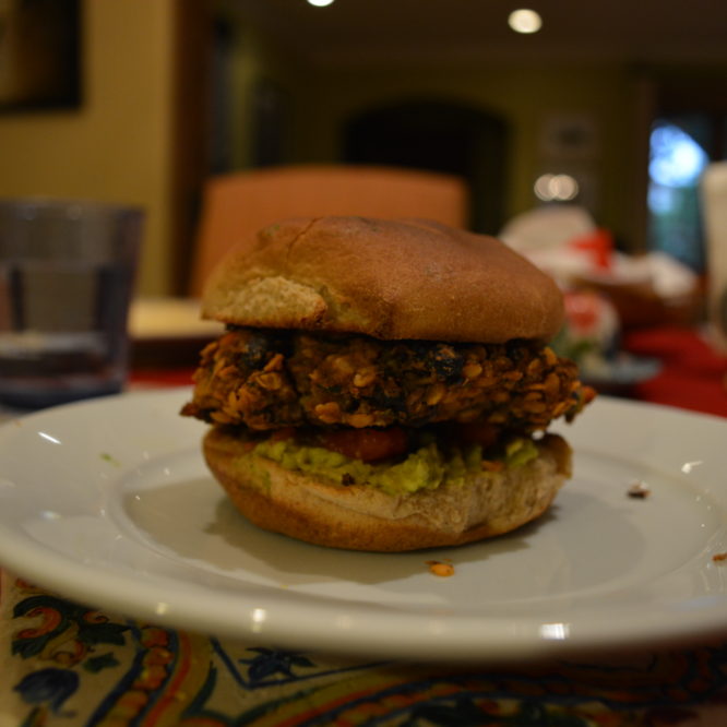 Veggie Patties with Lentils & Beans
