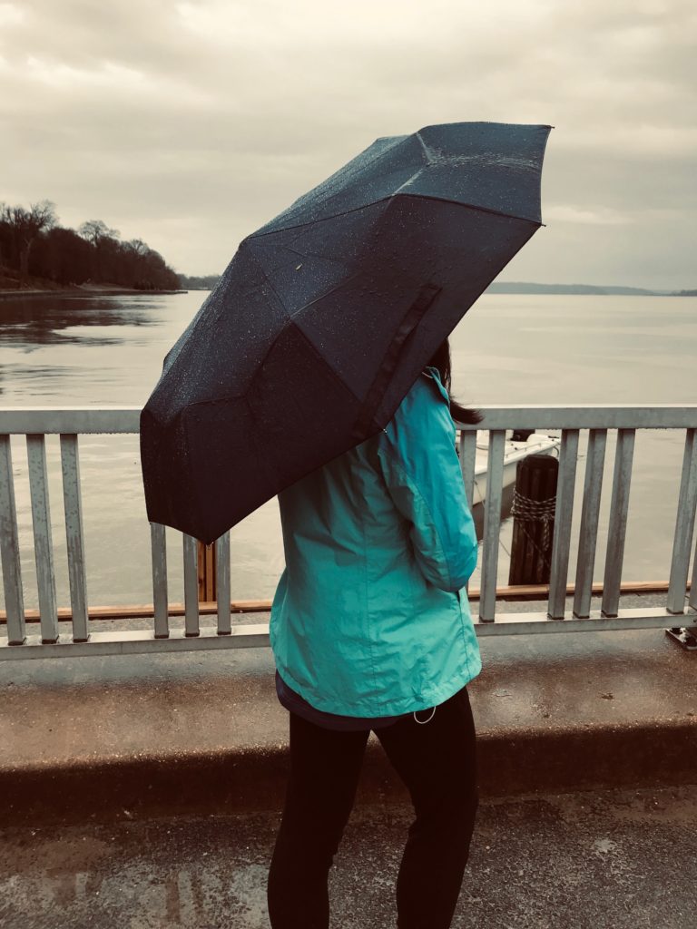 Eco Food Stuff: About Me