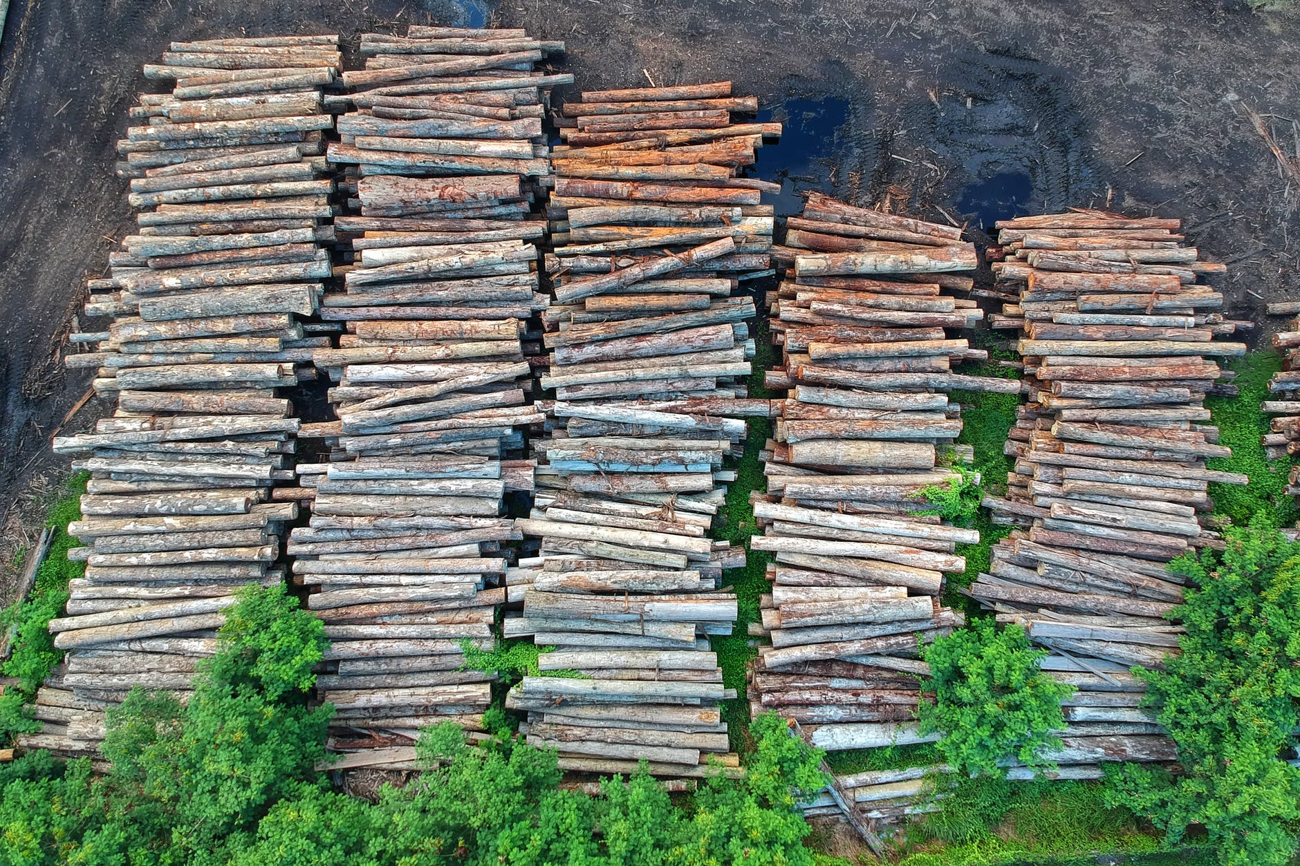 bird s eye view of lumbers